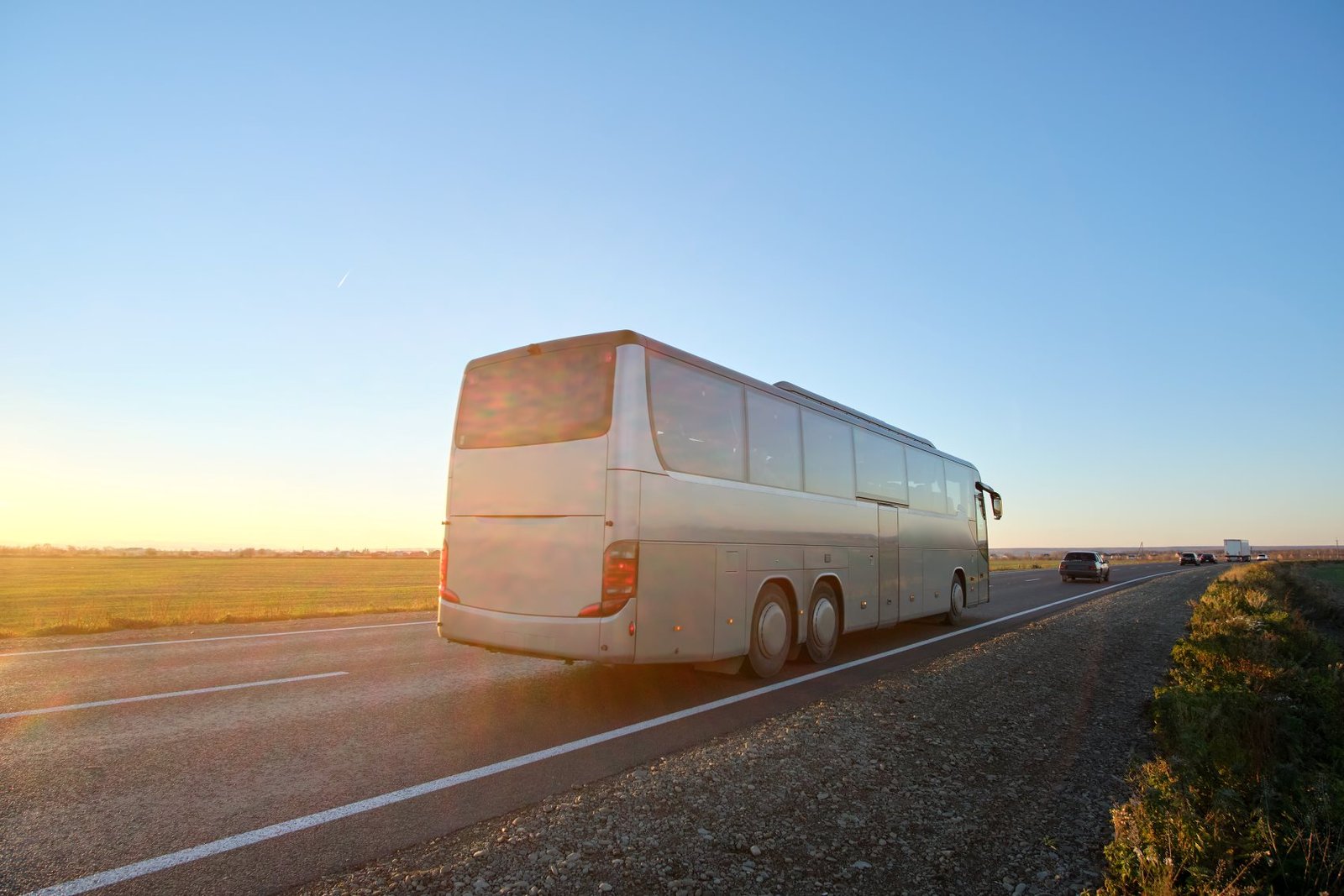 Medium Bus Xtra Ride